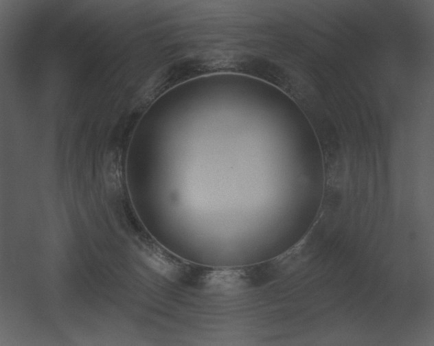 X0000053000179200507081243
