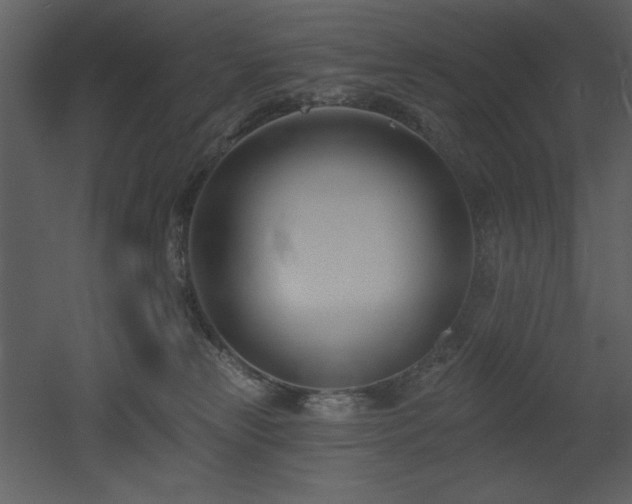 X0000053000181200507081243