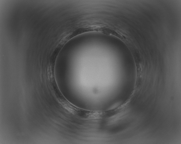 X0000053000182200507081243