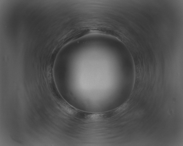 X0000053000184200507081243