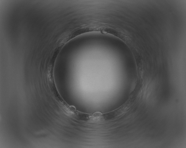 X0000053000185200507081243
