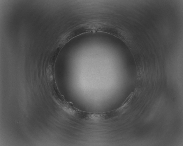 X0000053000187200507081243