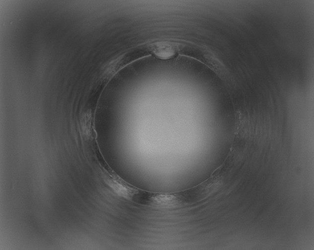 X0000053000189200507081243