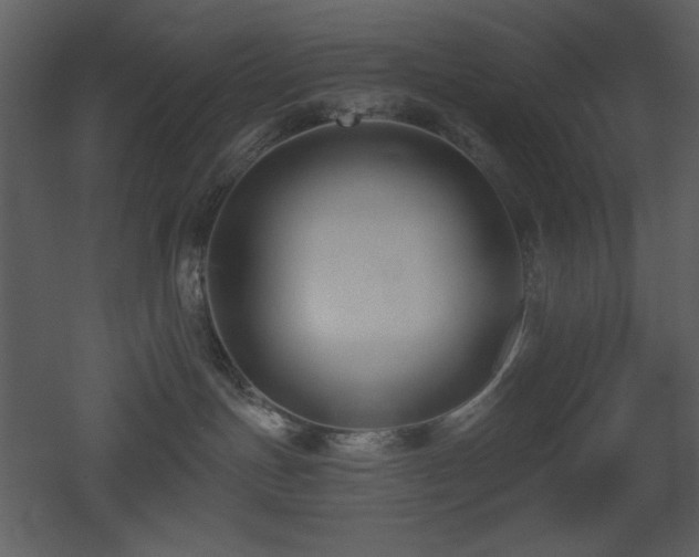 X0000053000191200507081243