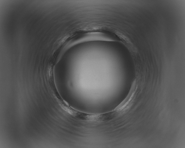 X0000053000192200507081243