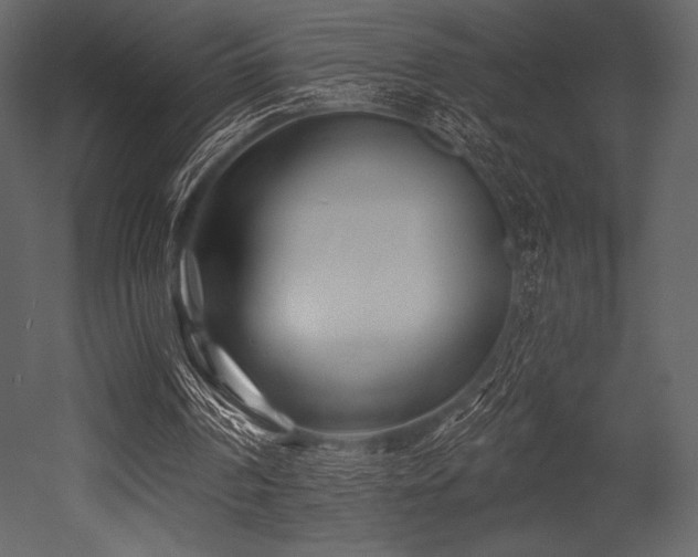 X0000053000194200507081242