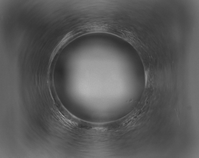 X0000053000195200507081242