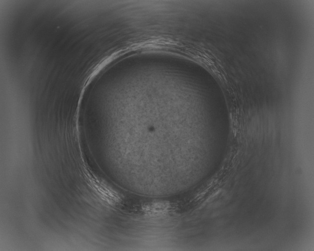 X0000053000196200507081242