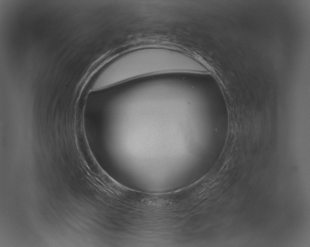 X0000053000199200507081242