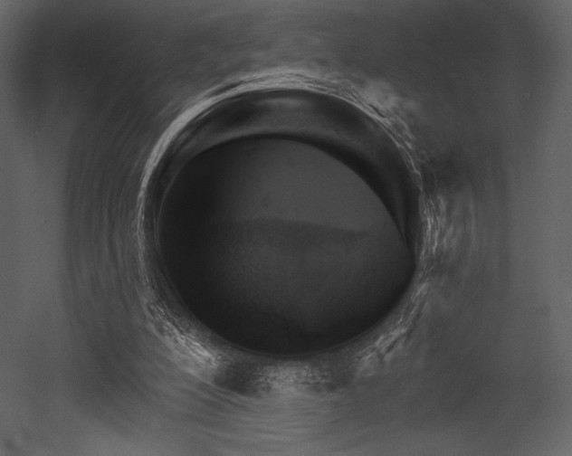 X0000053000200200507081242
