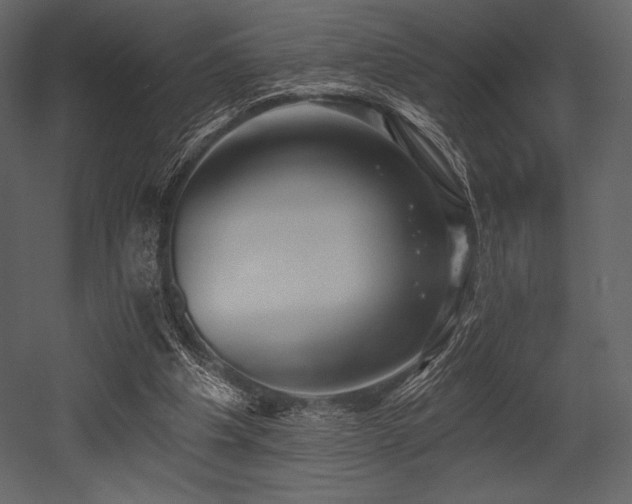 X0000053000201200507081242