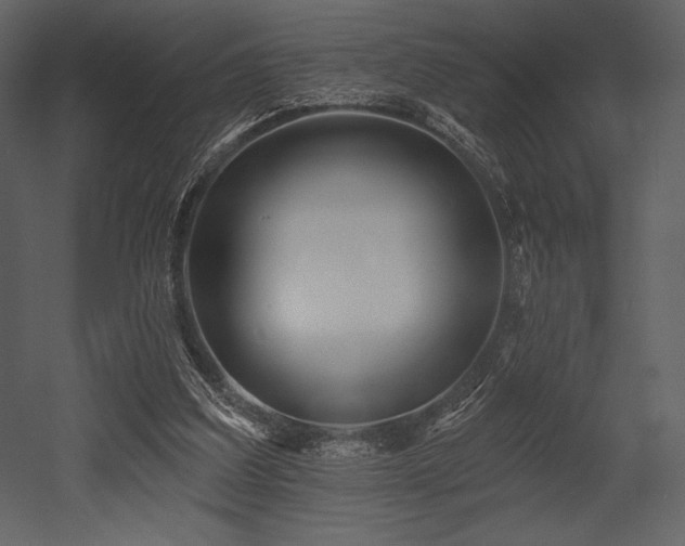 X0000053000203200507081242