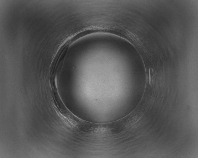 X0000053000204200507081242