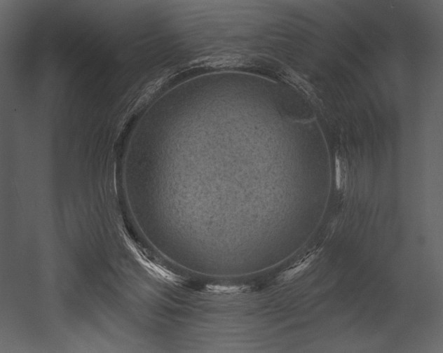 X0000053000205200507081242