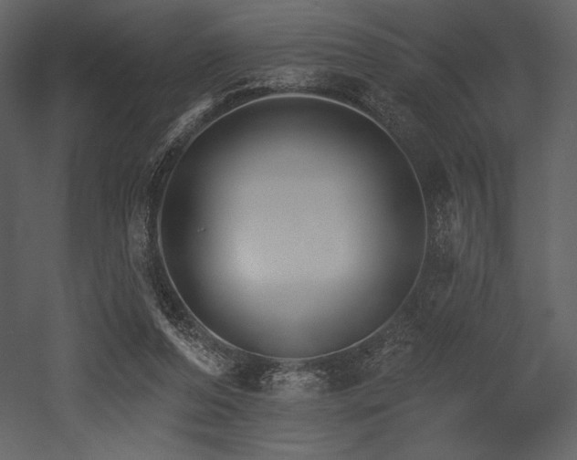 X0000053000208200507081242