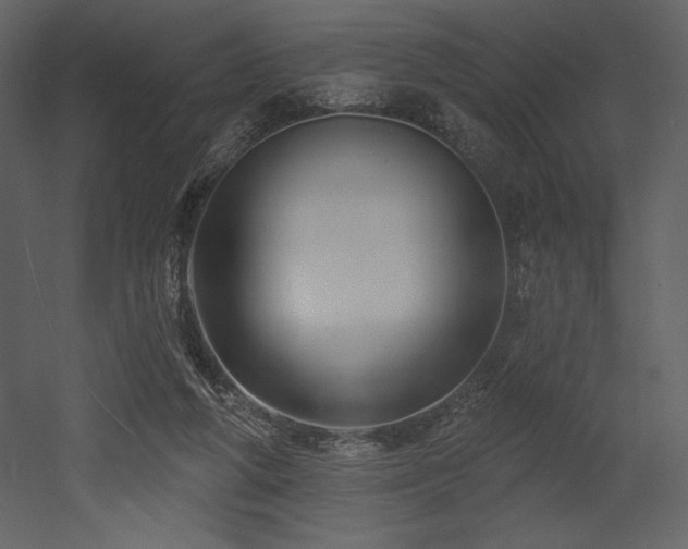 X0000053000210200507081242