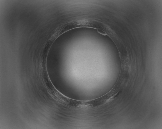 X0000053000213200507081242