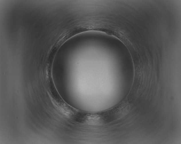 X0000053000214200507081242