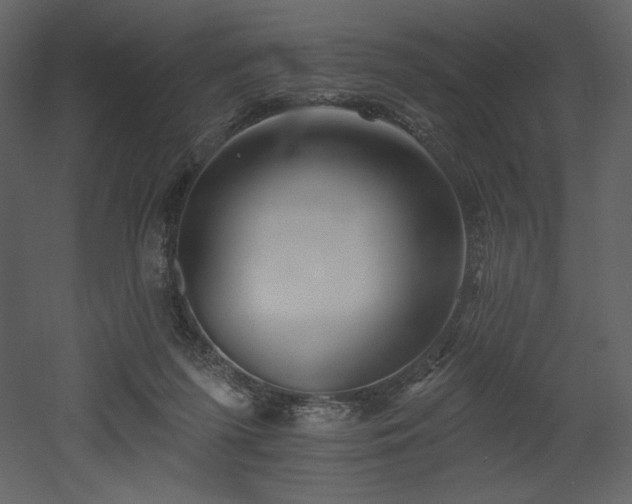 X0000053000215200507081242