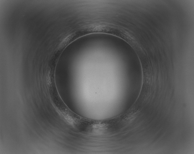 X0000053000216200507081242