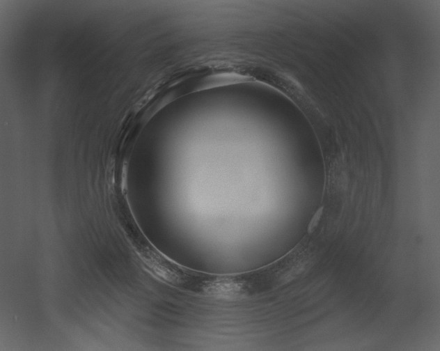 X0000053000217200507081242