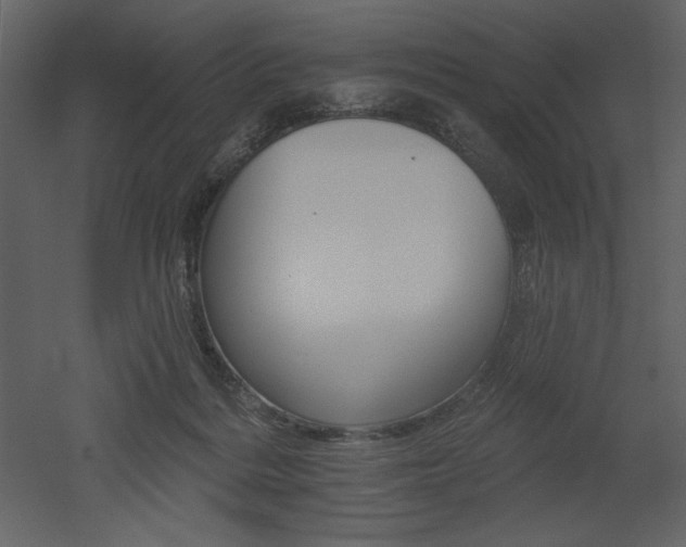 X0000053000220200507081242