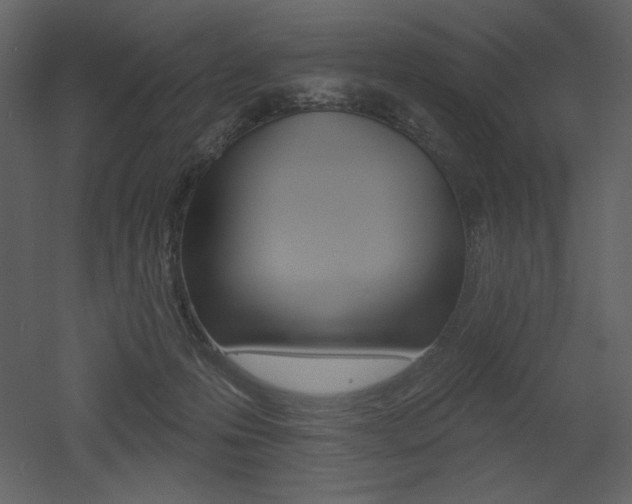 X0000053000223200507081242