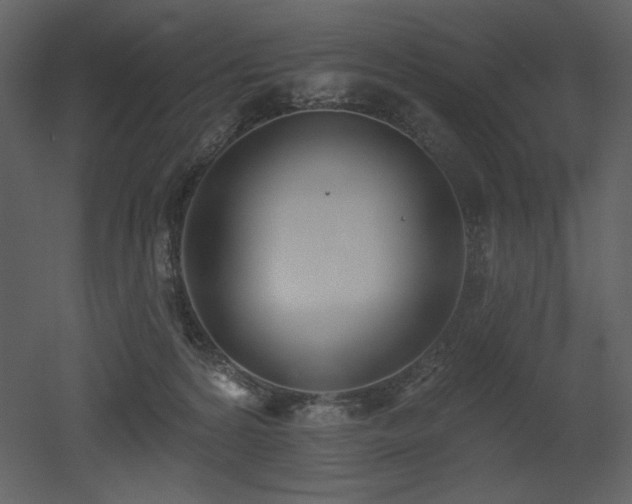 X0000053000224200507081242