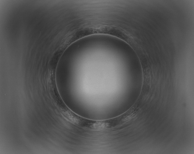 X0000053000225200507081242