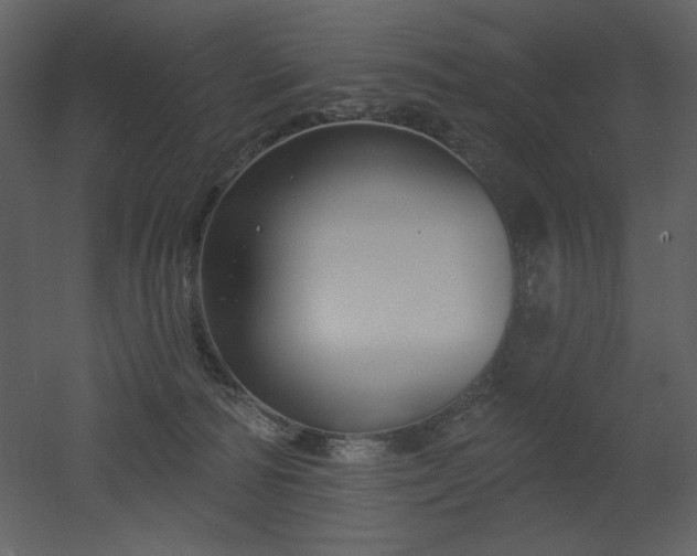 X0000053000226200507081242