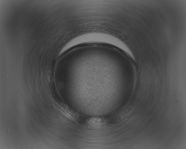 X0000053000227200507081242