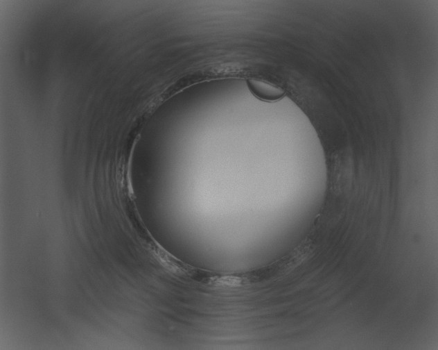 X0000053000230200507081241