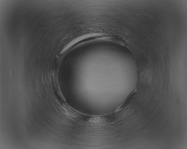 X0000053000231200507081241