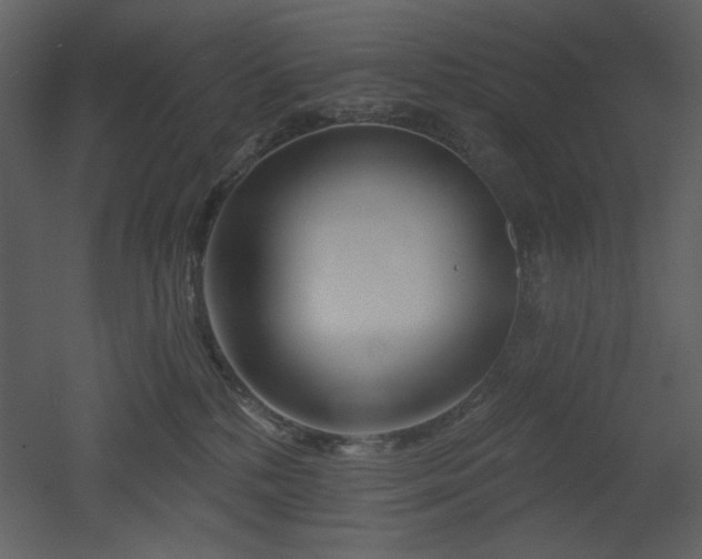 X0000053000232200507081241