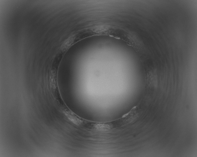 X0000053000234200507081241