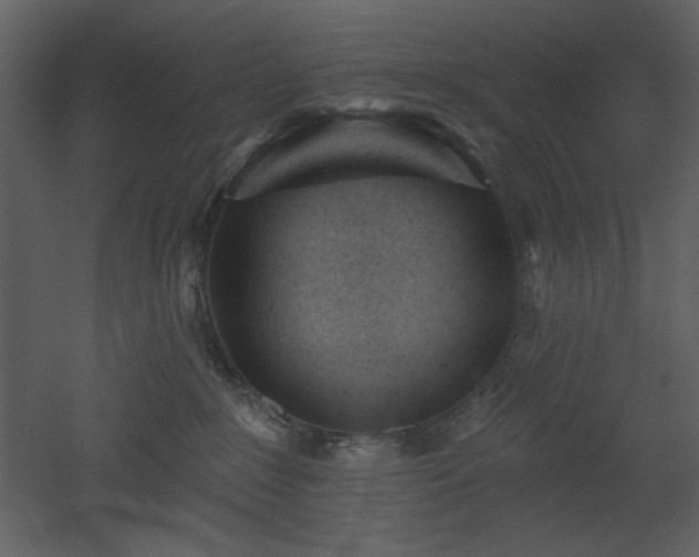 X0000053000235200507081241