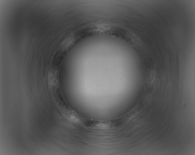 X0000053000236200507081241