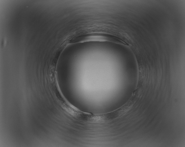 X0000053000237200507081241