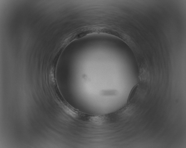 X0000053000238200507081241