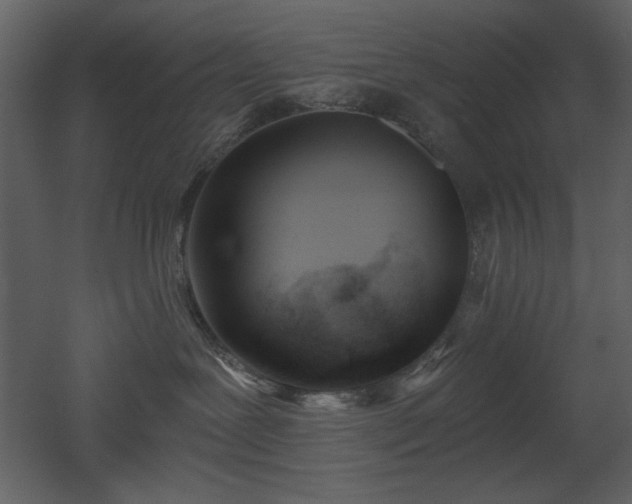 X0000053000239200507081241