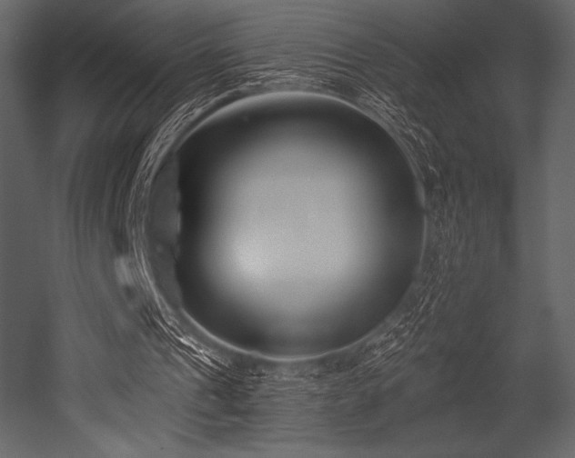 X0000053000241200507081240