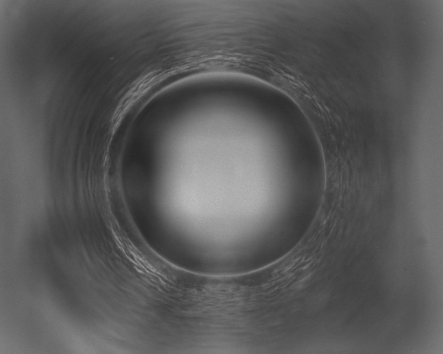X0000053000242200507081240