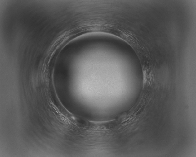 X0000053000243200507081241