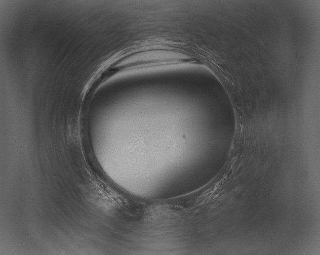 X0000053000244200507081241
