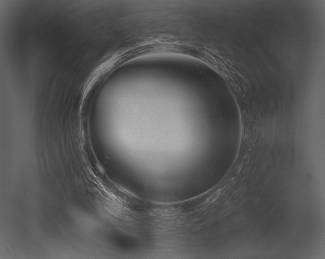 X0000053000245200507081241