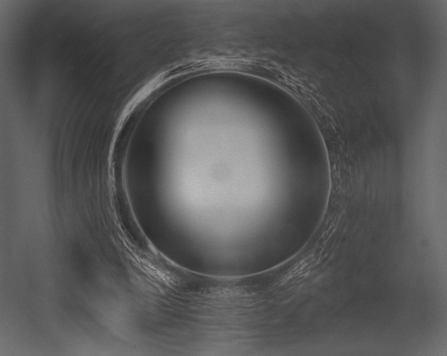 X0000053000246200507081241