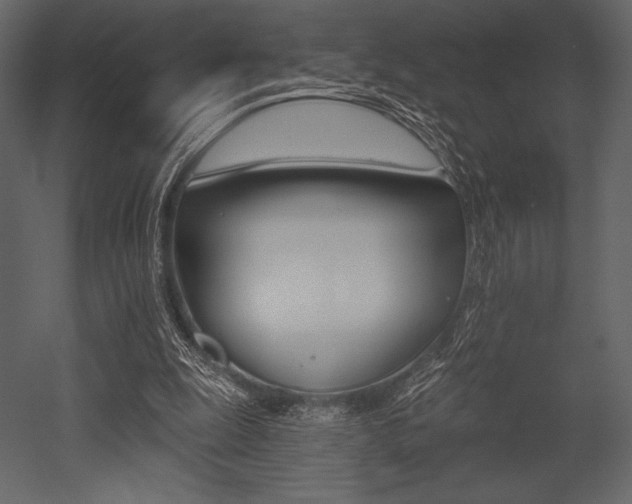 X0000053000247200507081241