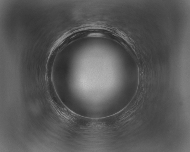 X0000053000248200507081241
