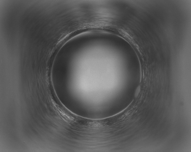 X0000053000249200507081241