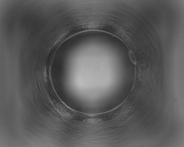 X0000053000251200507081241